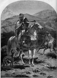 Jagar hare i Algeriet