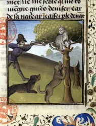 Jaktscen med ett lodjur - i "" Jaktbok av Gaston Phoebus, greve av Foix, Lord of Béarn""