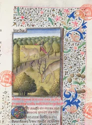 Jägare som gömmer sig bakom ett lockbete medan han jagar en hjort, från Livre de la Chasse av Gaston Phebus de Foix (1331-91)