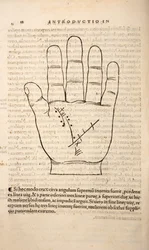 Illustration från Chiromantia av Joannes Indagioe, Strasbourg, 1531 (tryck & gravyr)