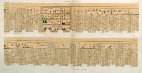 Illustrationer av ett Pampus-manuskript med hieroglyfer, Hypogees, Thebe, plåt 75 från Vol II av `Descriptions of Egypt`, graverad av Willemin, pub. 1822 (akvatint)