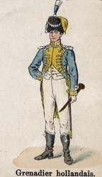 Imperial Guard Napoleon I: Holländsk grenadjär - musiker. Tallrik från boken Les Uniforms de l