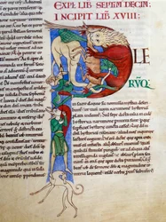 Initial P (lettrine): jästdjävul helvetets mun. Miniatyr från manuskriptet "Moralia in Job", Morales sur Job av Saint Gregoire, från klostret i Citeaux
