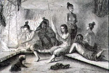 Mambo ya Ndani ya Jumba la Eskimo katika miaka ya 1860 (ya kuchora)swed