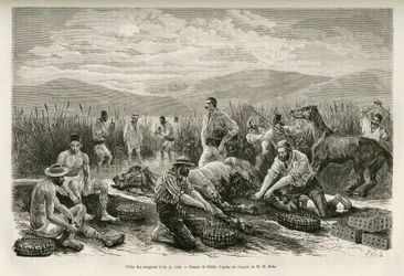 The Fishing of the Leeches, ritad av Sahib, för att illustrera historien om Henry Belle: Resa i Grekland
