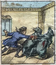 Lemuel Gulliver slåss mot råttor i Brobdingnags jättars land. Illustration för "" Gulliver