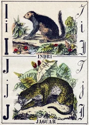 Brev I Indri (Lemurien); J Jaguar. Gravyr i "" Alphabet des animaux sauvages"". 9:e serien. Bildspråk av Epinal, Pellerin, tryckare-förlag, ca 1870. Gravyrer på trä, stencilerade. 16 sidor. Mått: 20 x 15 cm. Privat samling