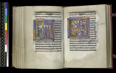 MS 300 f.207v-208r, Rösträtt för jungfrur och rösträtt åt alla helgon, från Isabellas psalter och timmar, Paris, c.1265-70 (penna & bläck och tempera på pergament)