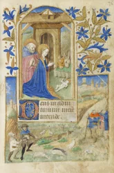 MS 39-1950 f.76r The Nativity, 1464 (guldsilver & färgat bläck på pergament)