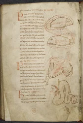 Diverse verk om datorer och astronomi, Royal MS 13 A XI