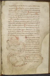 Diverse verk om datorer och astronomi, Royal MS 13 A XI