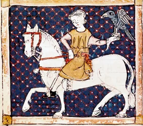 April månad: Falconer