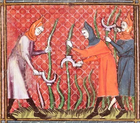 Ms 1044 f.120 Cutting Trees, från Ovide Moralise skriven av Chretien Legouais