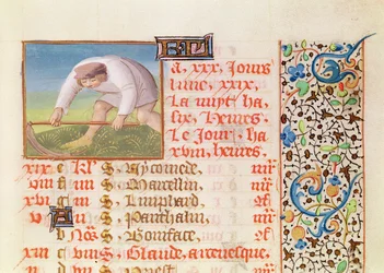 Ms 134 June: Reaping, från en timbok