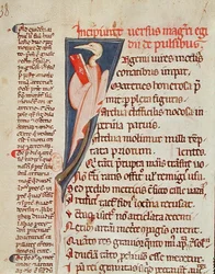 Ms 2046 fol.438 En fågel som håller i en bok av Gilles de Corbeil (1165-1222) från 