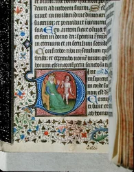Ms 376 Historikert initial "D" som visar en kung med en dåre, från en psalter (vellum)
