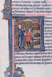 Ms 426 fol.135 Lär ut det bästa sättet att bevara päron, från Le Miroir de la Nature av Vincent de Beauvais