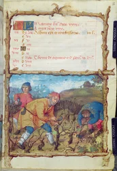 Ms 438 The Month of March: Pruning the Vines, from a Book of Hours, 1490