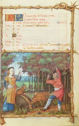 Ms 438 The Month of November: Gathering Acorns, from a Book of Hours, 1490
