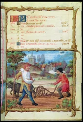 Ms 438 Oktobermånaden: Plöjning och sådd, från en timbok, 1490