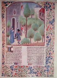 Ms 5064 fol.105r Plantera träd, från Livre des Prouffitz Champestres av Pietro de Crescenzi (1230-132021)