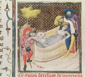 Ms Fr 12420 Paulina Dying With Seneca, från De Claris Mulieribus, av Giovanni Boccaccio (1313-75)