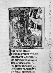 Ms Fr 1581 Noble hovrätt, illustration från Roman de Renart