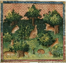 Ms Fr 616 fol.24v Hares in a Wood, from the Livre de la Chasse av Gaston Phebus de Foix (1331-91)