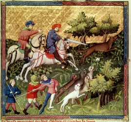 Ms Fr 616 fol.96v Wolf hunt, från en bok av Gaston Phebus de Foix (1331-91)