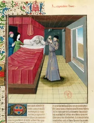 Ms Fr 9140 fol.120v En läkare som utför en urinanalys, från Livre des Proprietes des Choses av Barthelemy lAnglais, 1480
