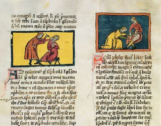 Ms H 89 Läkare som botar sjuka, från en upplaga av Book of Surgery av Rogier de Salerne