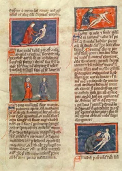 Ms H 89 fol.21v Anatomiska figurer, från en upplaga av 