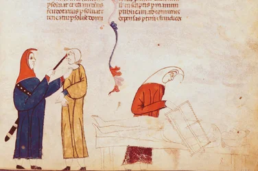 Ms Lat 9187 fol.24 Tortyrscen, från Les Coutumes de Toulouse