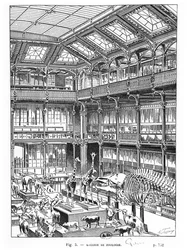 Naturhistoriska museet i Paris