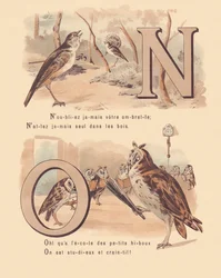 N O: Näktergal, bröllop, uggla, ortografi