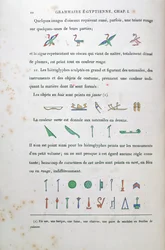 Anteckningar om färgning av vissa hieroglyfer, från Grammaire Egyptienne av Jean Francois Champollion (1790-1832) 1836