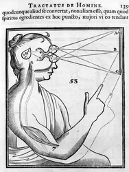 Oftalmologi: ögat och synen. Från "Tractatus de Homine" av Rene Descartes