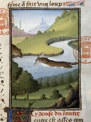 Otter - i "" Hunting Book of Gaston Phoebus, Count of Foix, Lord of Béarn""