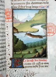Utter som fångar en fisk, från Livre de la Chasse av Gaston Phebus de Foix (1331-91) (pergament)