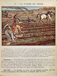 Sida från en skolbok som illustrerar Potatisodlingen, c.1910