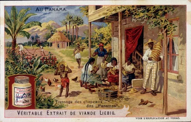 Panama: fläta panamahattar - chromo. Liebig