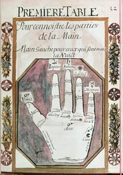 Delar av vänster hand för de som är födda under natten, från ett manuskript av Chiromancy, 1700-talet (wc på papper)