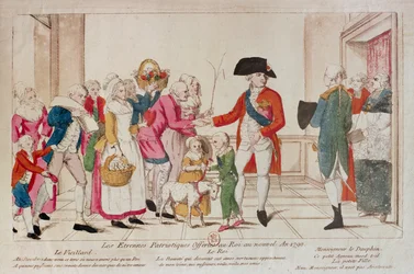 Patriotiska nyårsgåvor erbjöds kungen 1790