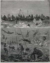 Pärlpersika i Ceylon (dagens Sri Lanka) på 1800-talet. Gravyr från 1885 i "" Les arts et metiers illustres"" av Adolphe BITARD.