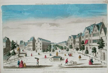 Perspektivvy av Rossmarkt, Frankfurt (färgad gravyr)