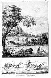Platta av Encyclopedia of Diderot och Alembert: Jordbruk och plöjning. 1700-talet.