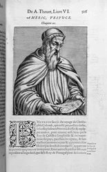 Porträtt av Amerigo Vespucci (1454-1512)