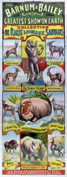 Affisch som annonserar Collection de Rares Animaux Sauvages för cirkusen Barnum och Bailey