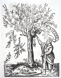Skrivares emblem av Robert Estienne, Paris, 1526