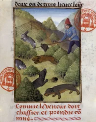 Rabbit Hunt - i "" Hunting Book of Gaston Phoebus, Count of Foix, Lord of Béarn""